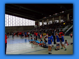 minivolley_2013_Gerenzano (31).jpg